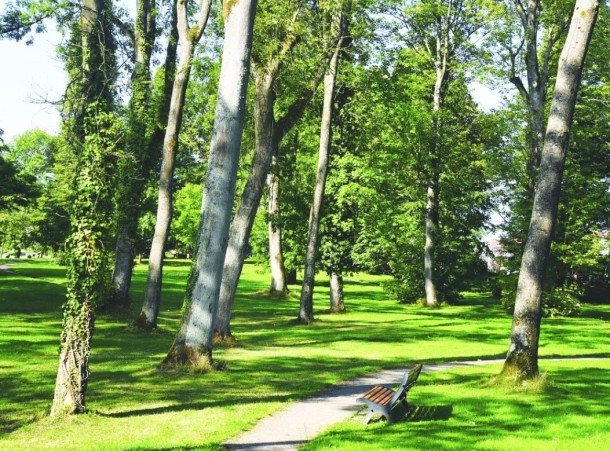 Nouveau parc urbain pour bientôt à Maubeuge